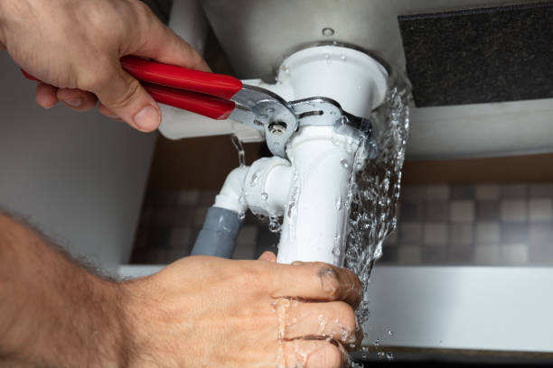 Best Water damage cleanup near me  in Waelder, TX
