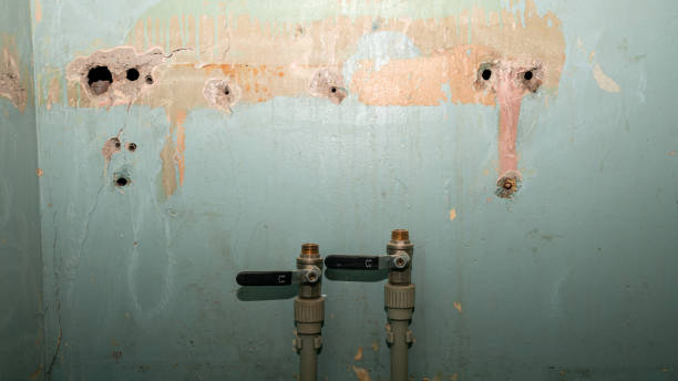 Best Water damage contractors near me  in Waelder, TX
