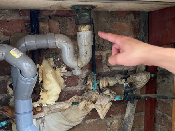 Best Water damage restoration near me  in Waelder, TX