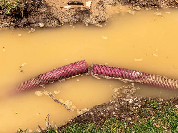 Best Emergency water damage restoration  in Waelder, TX